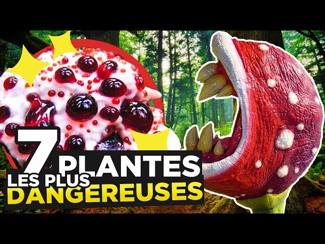 7 most DANGEROUS PLANTS IN THE WORLD