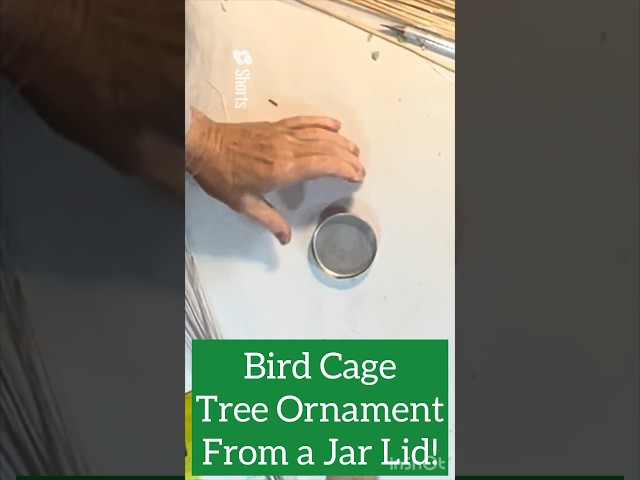 DIY Bird Cage Ornament from a Jar Lid! #shorts