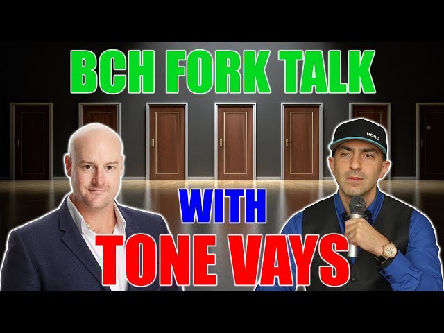 BCH Fork Talk - Tone Vays Interview (2018)