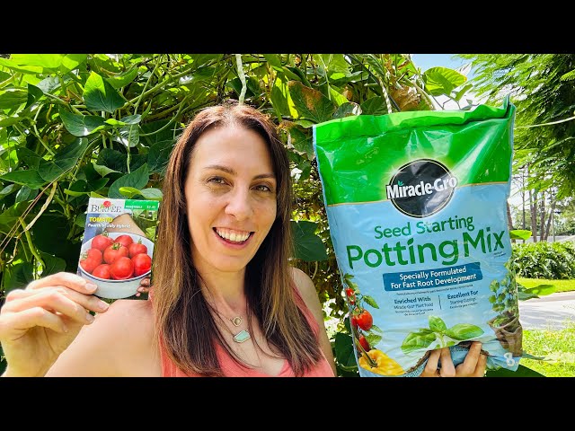 7+ MISTAKES to AVOID Seed Starting in your Florida Fall Vegetable Garden