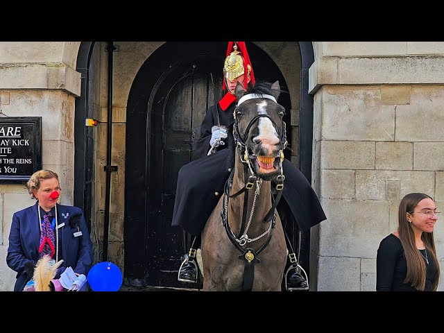 HORSE LAUGHS when British Airways STEWARDESSES turn up at Horse Guards for Red Nose Day!