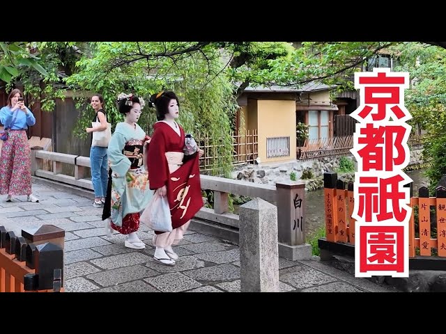 GWの京都祇園を歩く 芸舞妓さんが往く祇園 外国人観光客も楽しむ京都 KYOTO JAPAN WALK