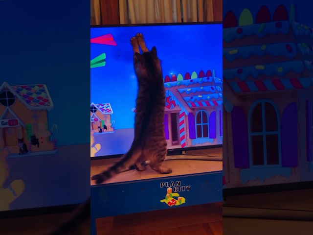 Cat Christmas TV Games #cat #games #video #shorts