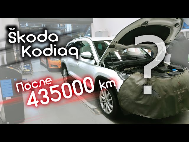 Отзыв владельца Skoda Kodiaq после 435000 км пробега! 😮 Живее всех живых?