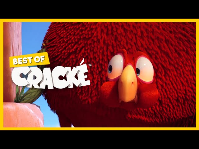 CRACKÉ - BIG FAT BIRD | Cartoon Animation | Compilation