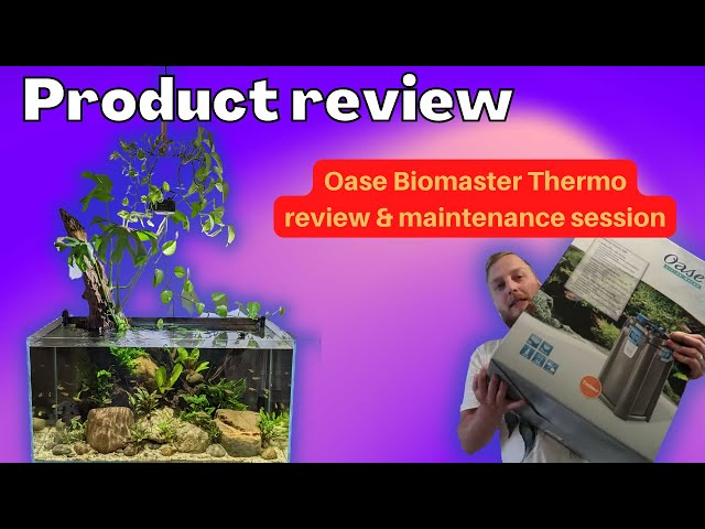 Product review: Oase Biomaster Thermo on the rare Tetra aquarium.