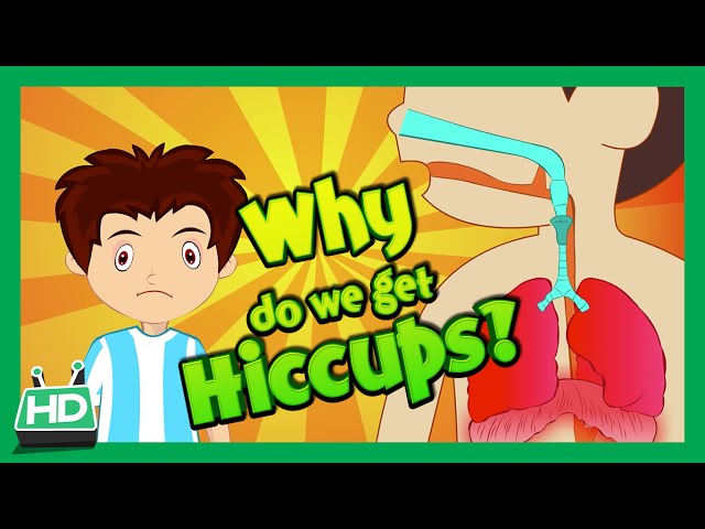 Why Do We Get Hiccups ? Hiccup Causes