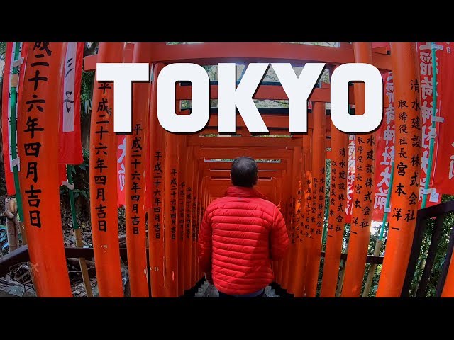 Top Things to do in Tokyo For First Timers | Travel Vlog | The Planet D