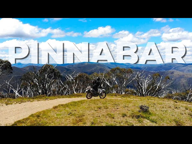 Mount Pinnabar | Moto Camping Into The EPIC Vic High Country | FE501| 701 Enduro | Part 2