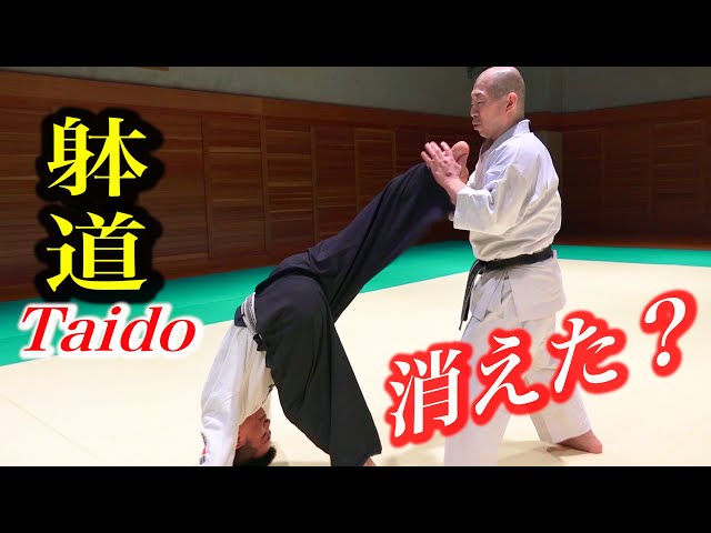 The Body disappears, the Kick appears! 【TAIDO】