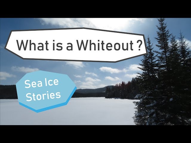 What is a whiteout?