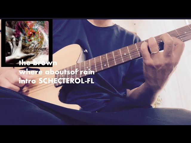 【the brown】struggle in a whirl where aboutsof rain自分でギター弾いてみたemo/math rock【SCHECTER OL-FL エレガットギター】