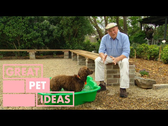 How to Keep Your Pets Safe and Healthy This Summer | PETS | Great Home Ideas