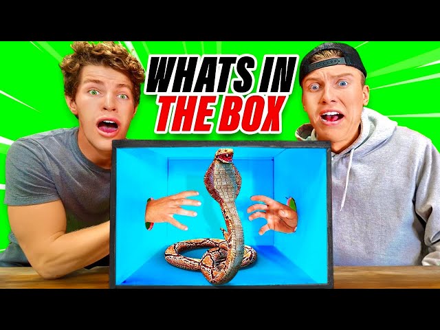 EXTREME What’s In The Box Challenge!