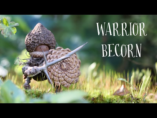 Building A Warrior Becorn