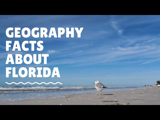 Quick Geography Facts About Florida