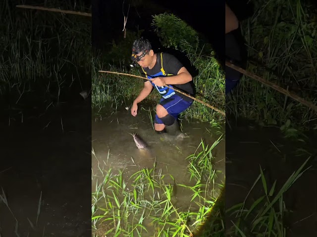 Hujan2 Cek Tajur Strike Ikan Monster Part2 😱 #shorts #fishing #viral #ikan