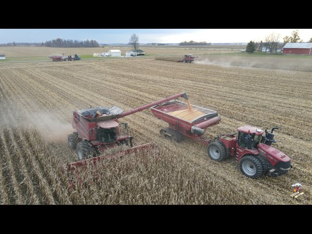 2021 Corn Harvest with Dick Lavy Farms