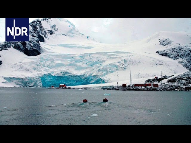 Tierschutz: Expedition Antarktis mit Greenpeace | NDR Doku | DIE REPORTAGE