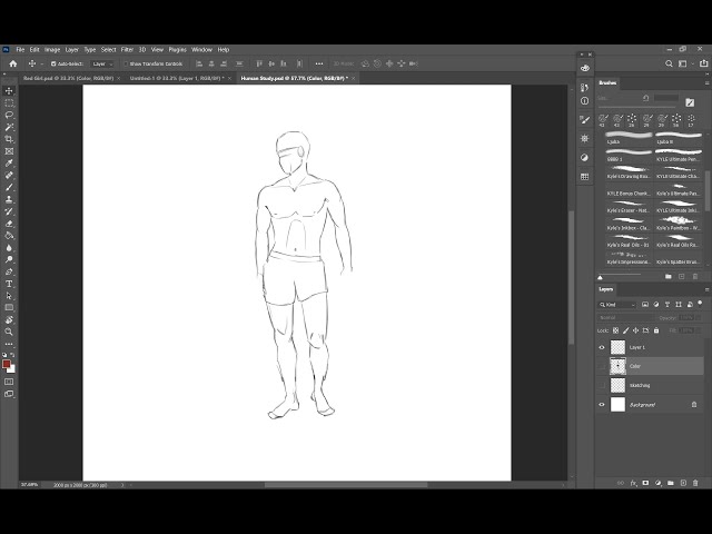 Body Proportions - Drawing