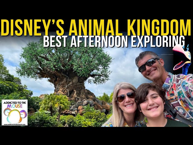 Exploring Disney's Animal Kingdom in May 2024 | Walt Disney World