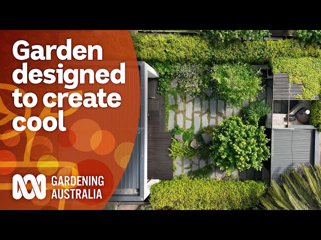 A dream garden designed around creating cool and shade | Garden Design | Gardening Australia