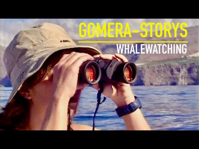 Tipps zum Whale Watching auf Teneriffa und La Gomera