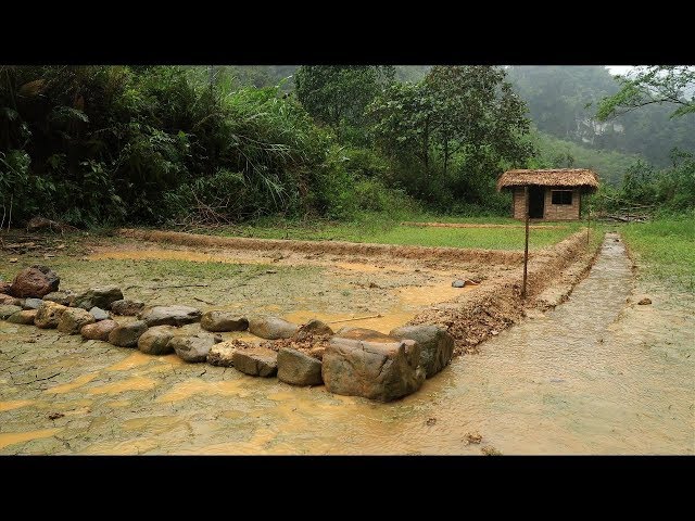 Primitive technology: Farmland, land reclamation to grow rice - Part 1