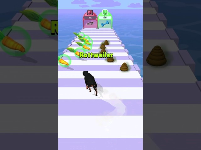 I cry at end 😭 dog run 3d  android games #shorts #blu #androidgameplay