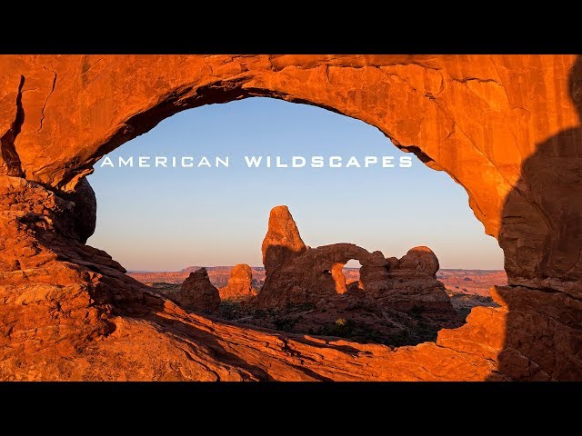American Wildscapes 4K Timelapse