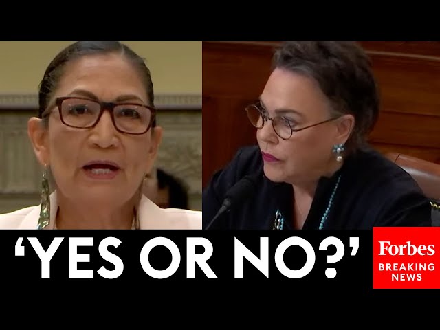 'She's Not Answering My Question': Harriet Hageman Shows No Mercy Grilling Deb Haaland