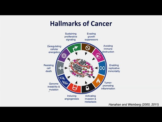 What Causes Cancer?