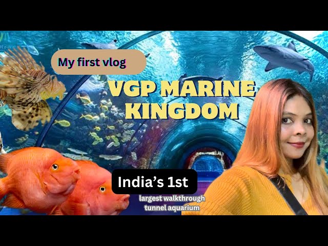 VGP Marine Kingdom Chennai_2024 | India's 1stLargest Underwater Tunnel Aquarium #myfirstvlog
