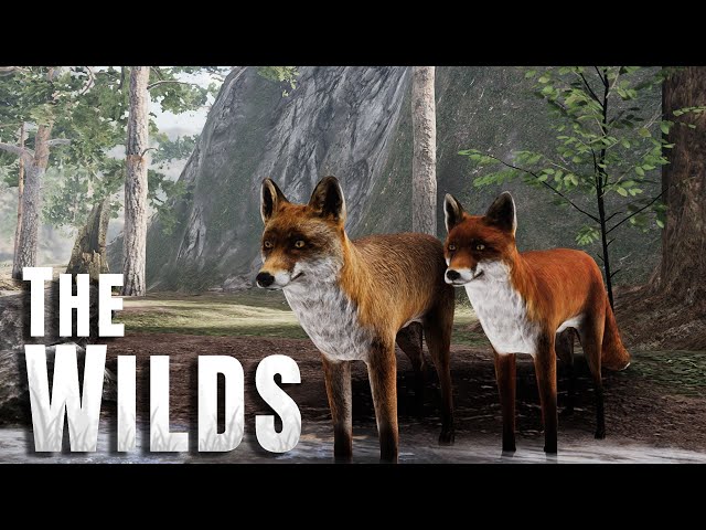 Everything you need to know about THE WILDS