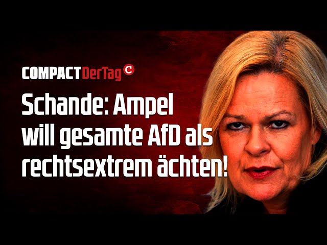 Schande: Ampel will gesamte AfD als rechtsextrem ächten!💥