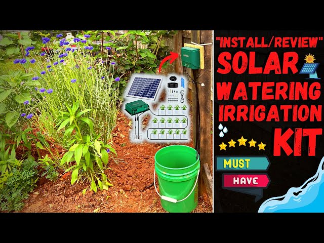 Solar Irrigation System by Ankway - Complete Install & Review