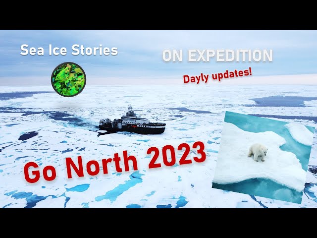 A new Adventure: Seaice Stories on Expedition 2023