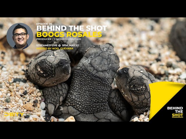 Behind the Shot LIVE 06: Boogs Rosales on Sharks, Sea Turtles, and Wreck Hunting!