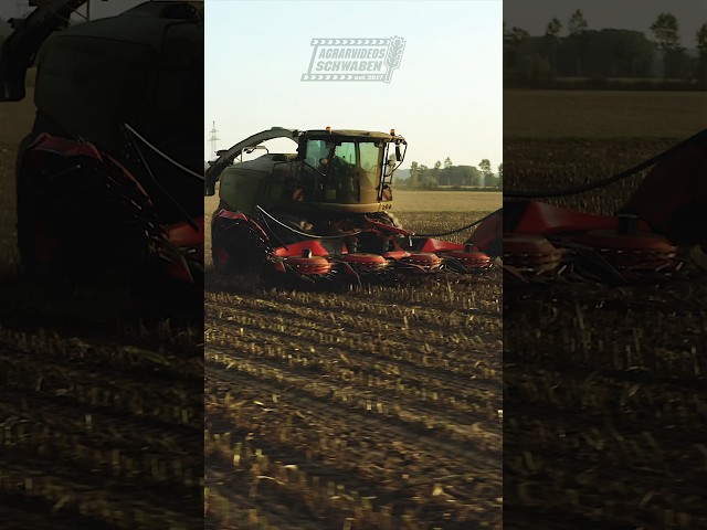 Claas Jaguar 980 🔥🔥🔥 #agriculture #agrarvideosschwaben