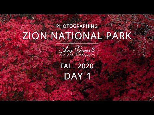 Photographing Zion National Park - Fall 2020 (Day 1)