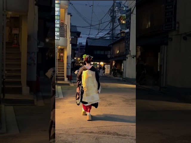 夜の祇園を往く先笄の舞妓さん #京都 #舞妓