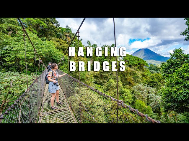 Mistico Hanging Bridges, El Salto, Sloths At The Bogarin Trail & Free Hot Springs | Costa Rica