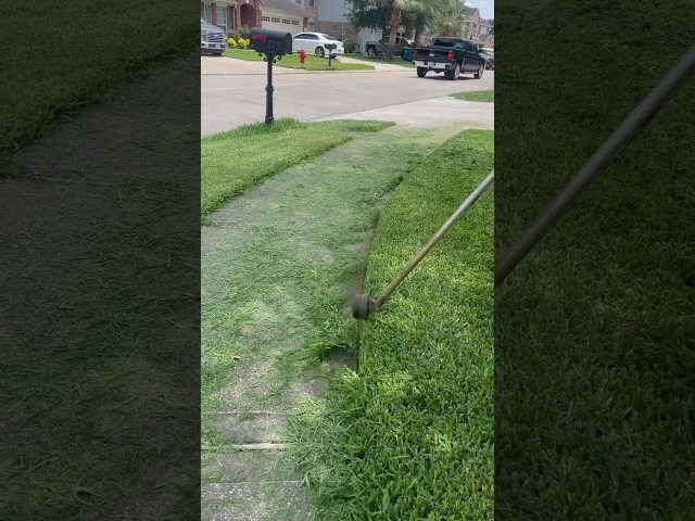 Lawn edging at its finest