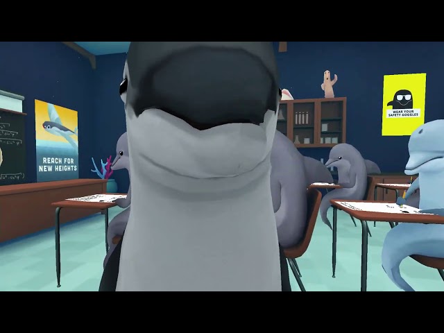 dolphin school