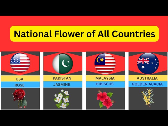 National flowers of all countries, All world comparison videos #world #comparison #flowers