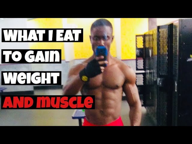 Body building weight gain diet breakfast foods to add lean muscle and lose body fat faster