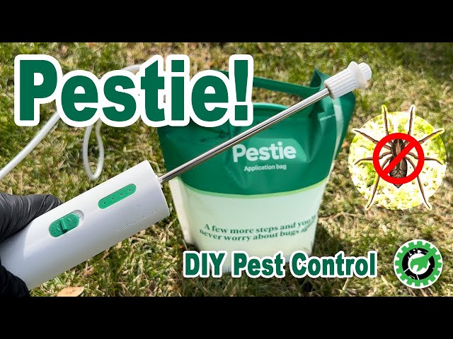 PESTIE • DIY Pest Control Solution • How To • BUG FREE GUARANTEE!!!