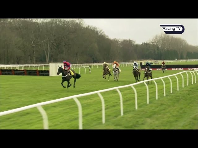 🤯 Sprinter Sacre breaks the track record ON THE BRIDLE at Newbury in 2012! - Racing TV
