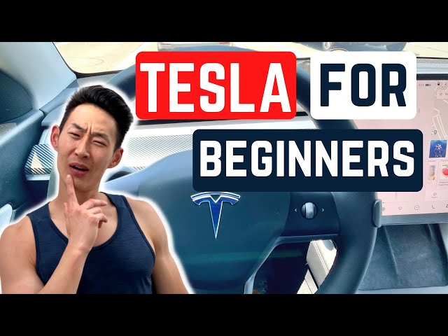 HOW to DRIVE a TESLA for the FIRST TIME! (Watch this for TIPS!)