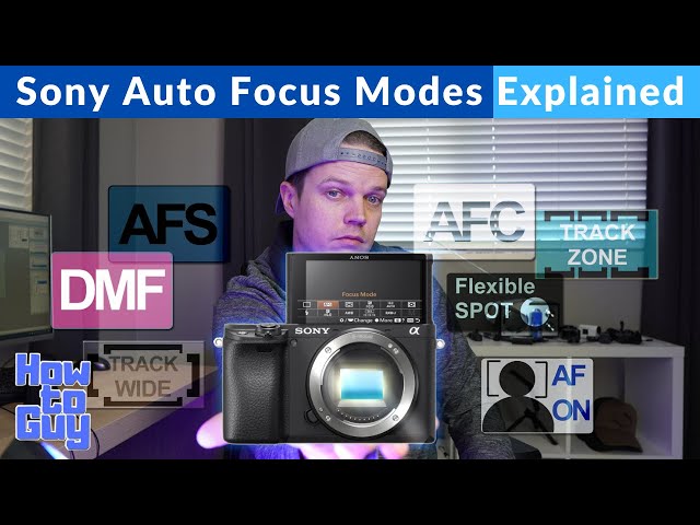 Sony Autofocus Modes Explained
